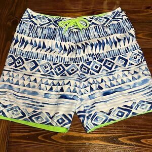NWOT Hollister Mens Blue and White Designed Board Shorts Size XL
